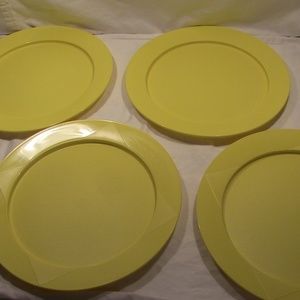 Tupperware Picnic Plates